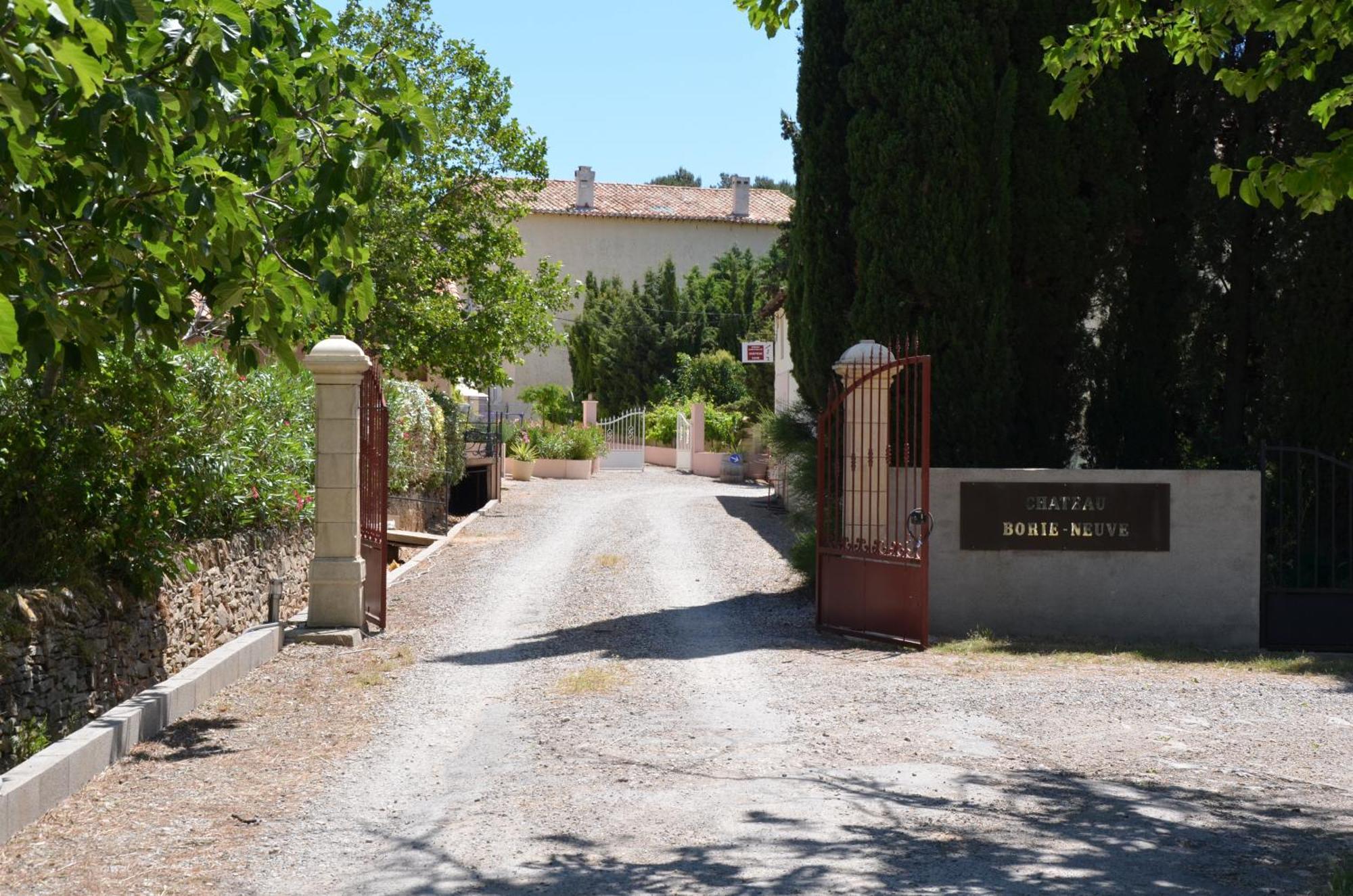 Chateau Borie Neuve Badens المظهر الخارجي الصورة